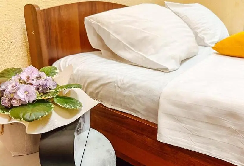 اتاق استاندارد با سرویس بهداشتی مشترک, Centrooms Kropivnizkogo