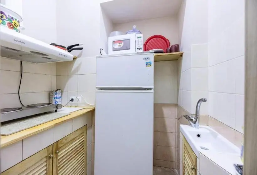 اتاق استاندارد با سرویس بهداشتی مشترک, Centrooms Kropivnizkogo