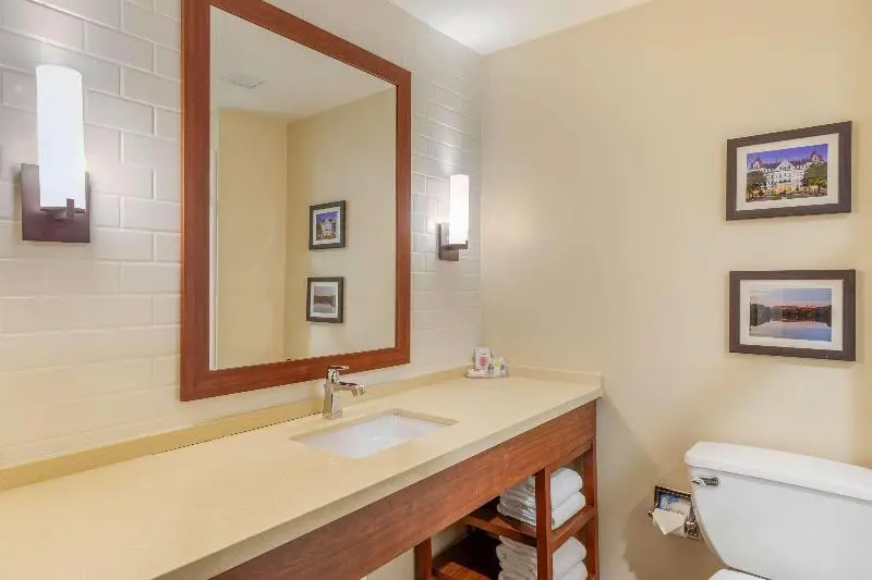 キングサイズベッドのスイートルーム, Comfort Inn & Suites Schenectady Scotia