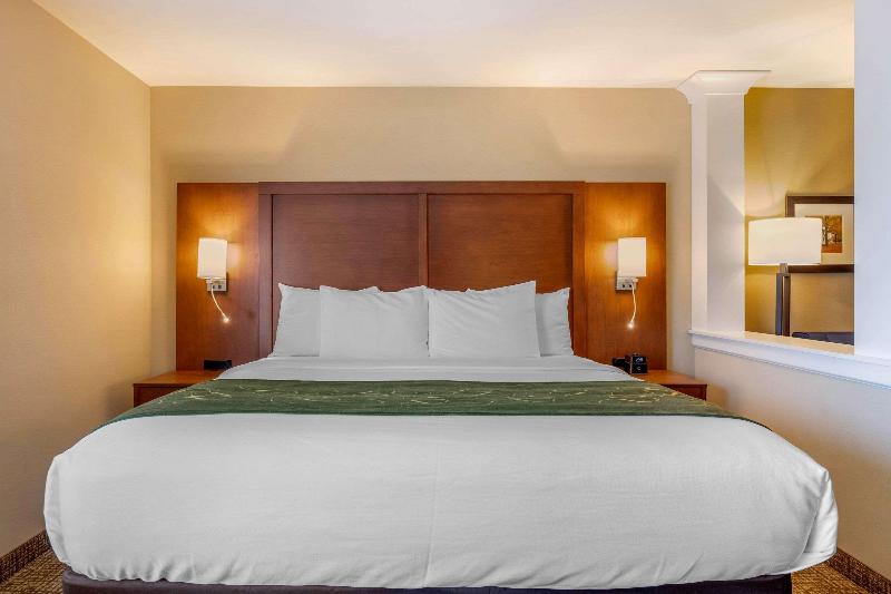 Sviitti King-vuode, Comfort Inn & Suites Schenectady Scotia