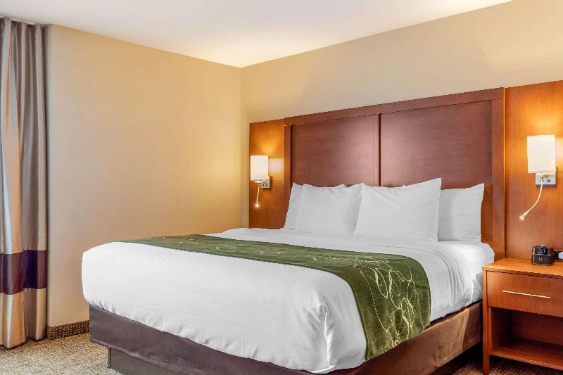 キングサイズベッドのスイートルーム, Comfort Inn & Suites Schenectady Scotia