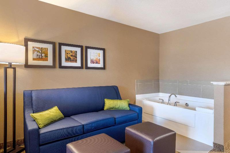 Sviitti King-vuode, Comfort Inn & Suites Schenectady Scotia
