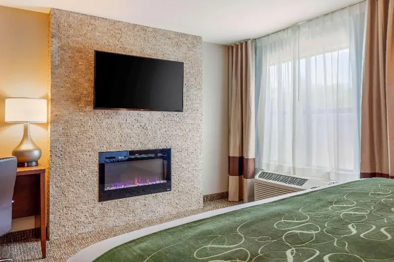 キングサイズベッドのスイートルーム, Comfort Inn & Suites Schenectady Scotia