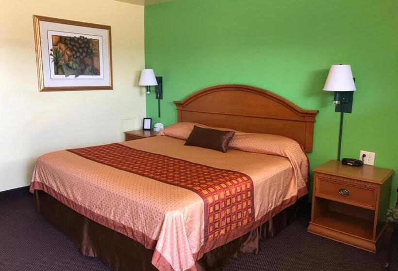 스탠다드 룸 킹사이즈 침대, Shamrock Country Inn
