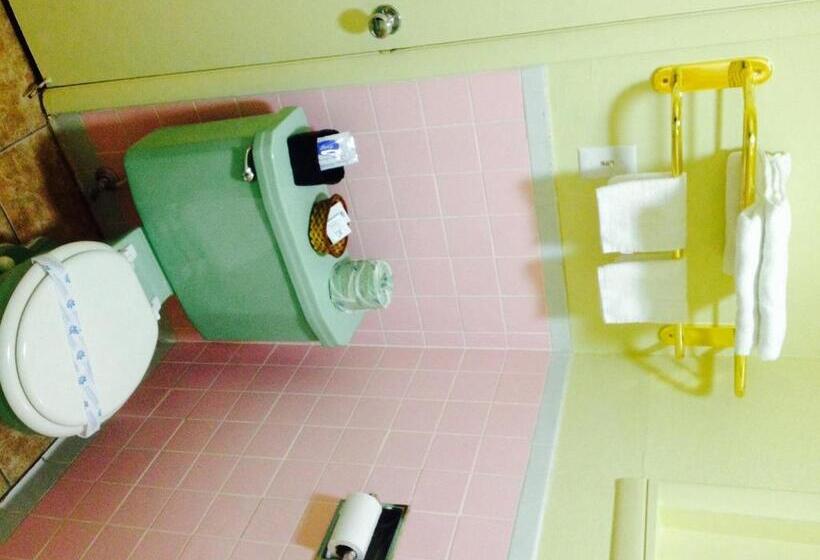 غرفه قياسيه سريرين مزدوجين, Shamrock Country Inn