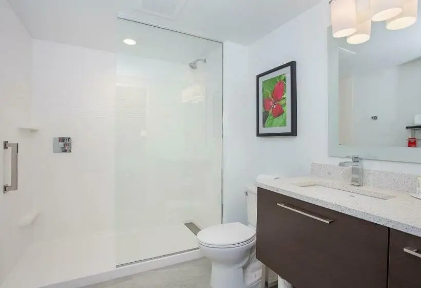 スタンダードスタジオ, Towneplace Suites By Marriott Knoxville Oak Ridge