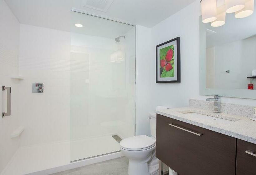 إستوديو قياسى سرير كينج, Towneplace Suites By Marriott Knoxville Oak Ridge