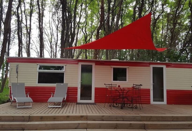 غرفة قياسية, Des Branches & Vous