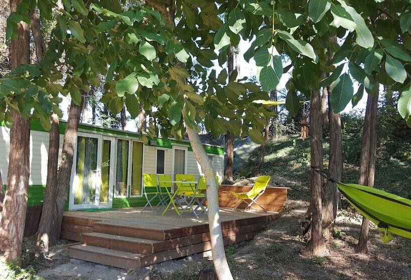 غرفة قياسية, Des Branches & Vous