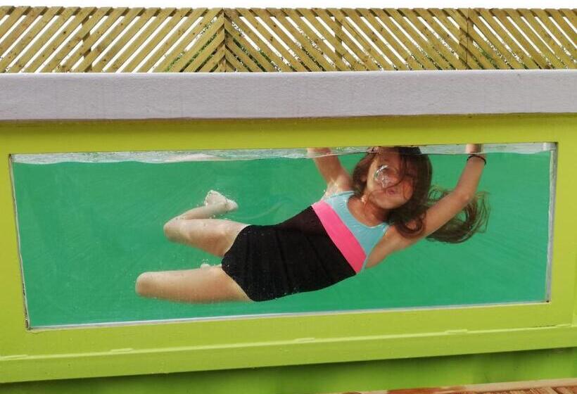 بنجلو قياسى, Des Branches & Vous