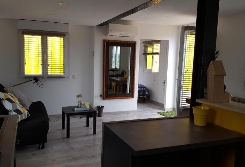 بنجلو قياسى, Des Branches & Vous