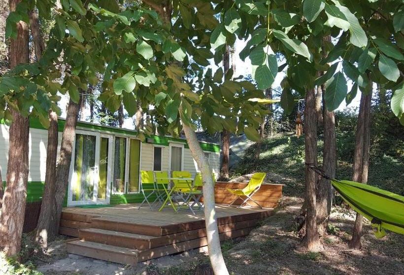 منزل غرفة نوم واحدة, Des Branches & Vous