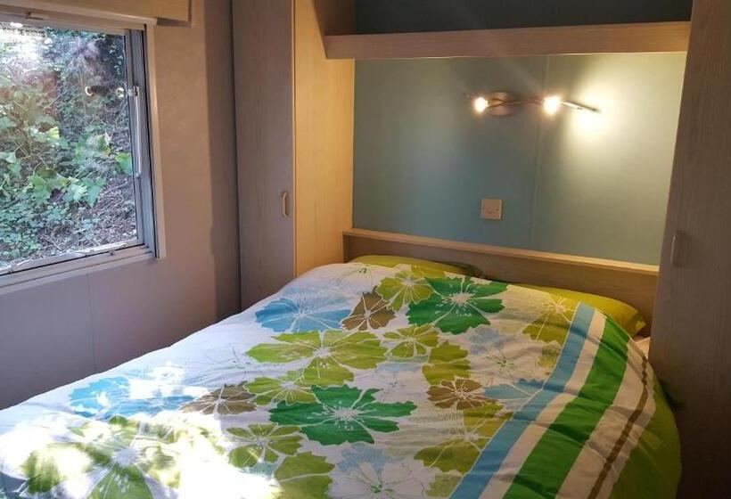 منزل غرفة نوم واحدة, Des Branches & Vous