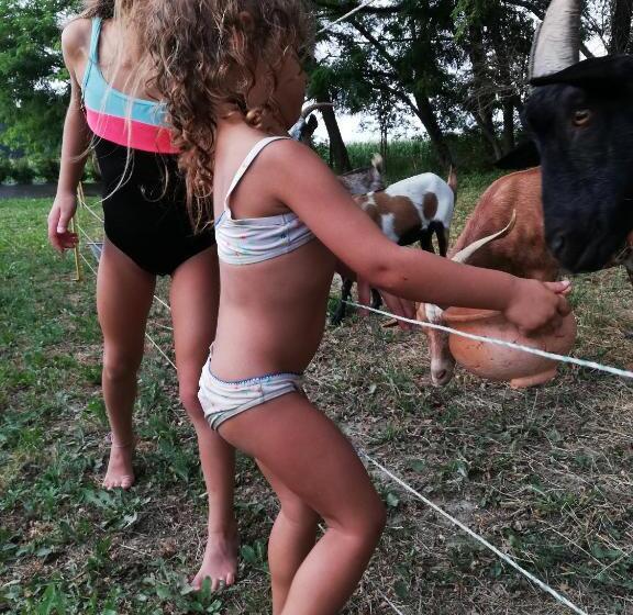 منزل غرفة نوم واحدة, Des Branches & Vous