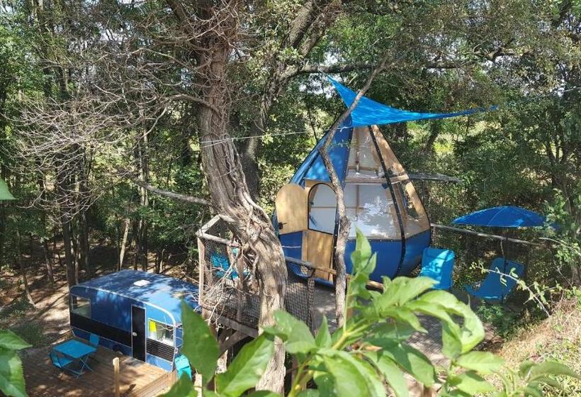 غرفة قياسية, Des Branches & Vous