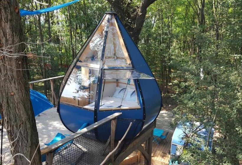 غرفة قياسية, Des Branches & Vous