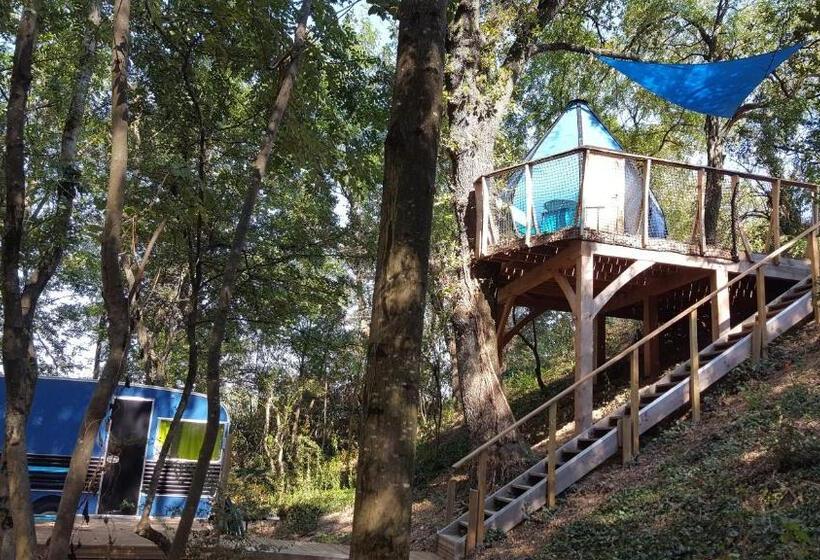 غرفة قياسية, Des Branches & Vous