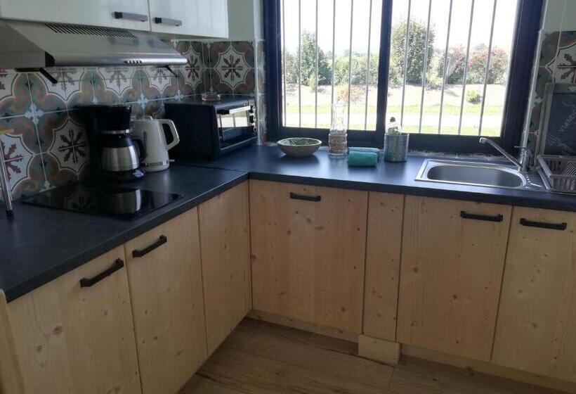 بنجلو قياسى مطلّ علي الحديقة, Des Branches & Vous