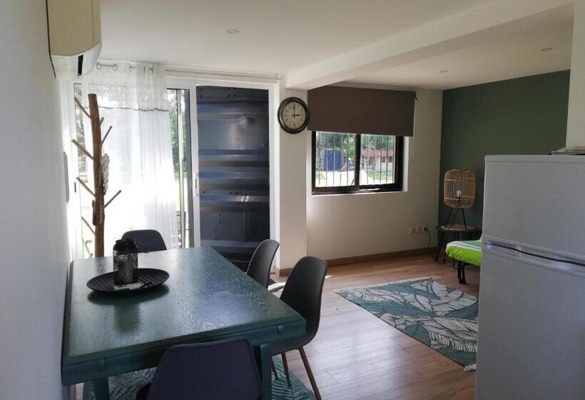 بنجلو قياسى مطلّ علي الحديقة, Des Branches & Vous