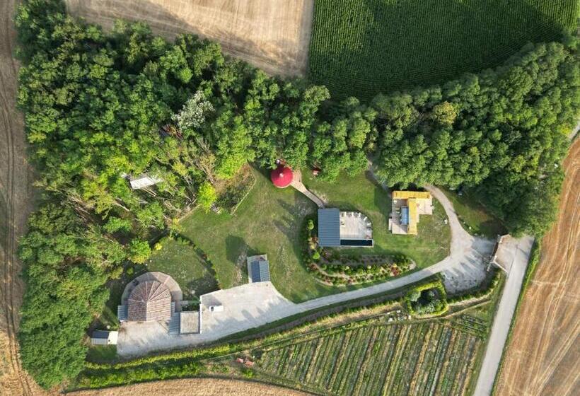 كوخ قياسي, Des Branches & Vous