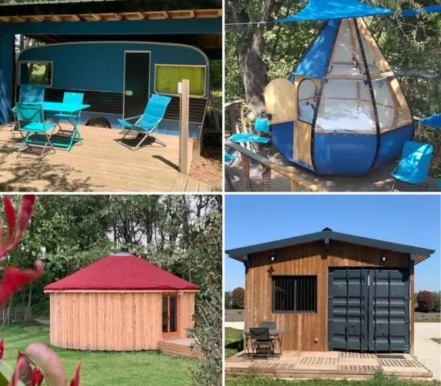 Standard Tent, Des Branches & Vous