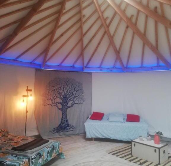 Standard Tent, Des Branches & Vous