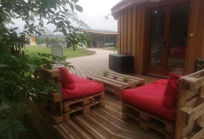 كوخ قياسي, Des Branches & Vous