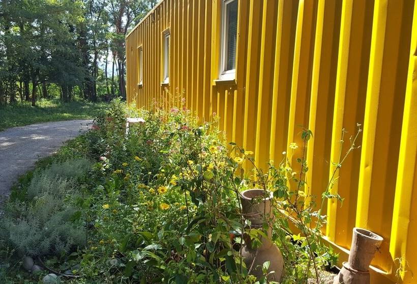 غرفة قياسية, Des Branches & Vous