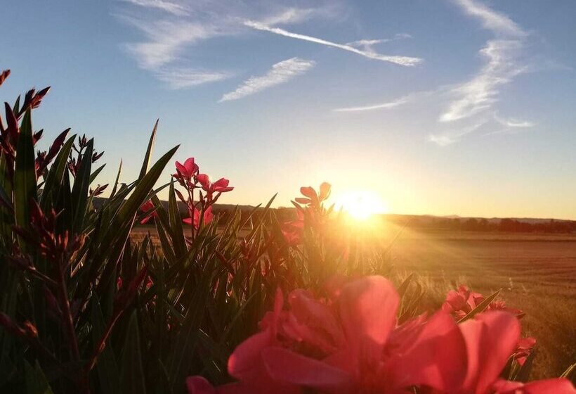 غرفة قياسية, Des Branches & Vous