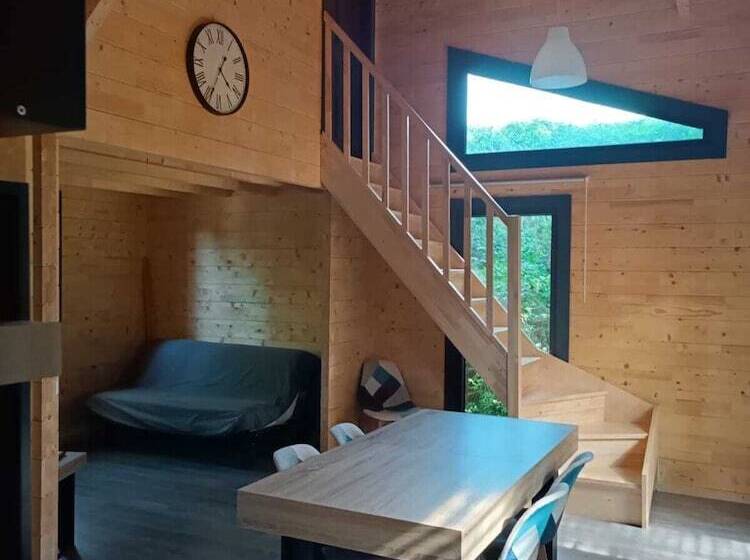 غرفة قياسية, Des Branches & Vous