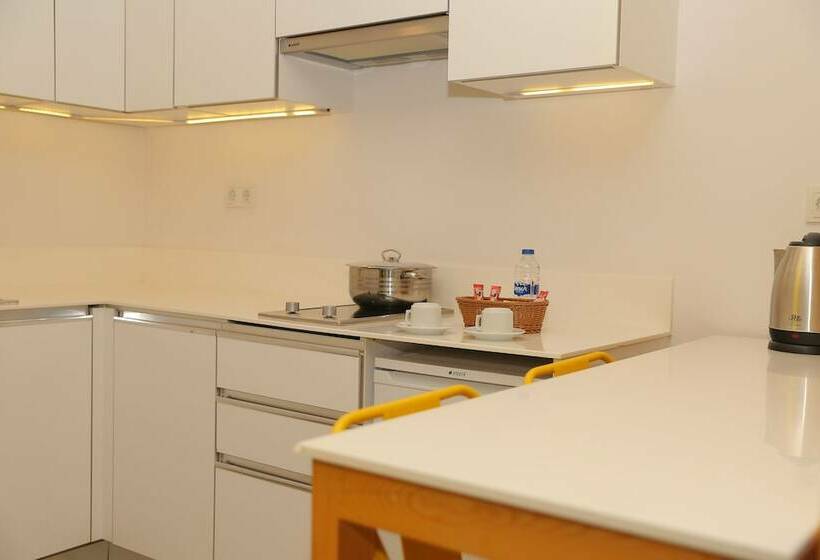 استودیوی استاندارد, Coordinat Suits