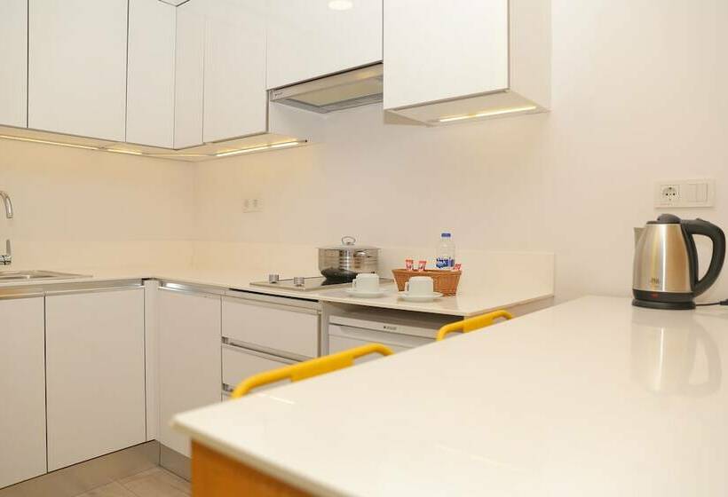 استودیوی استاندارد, Coordinat Suits