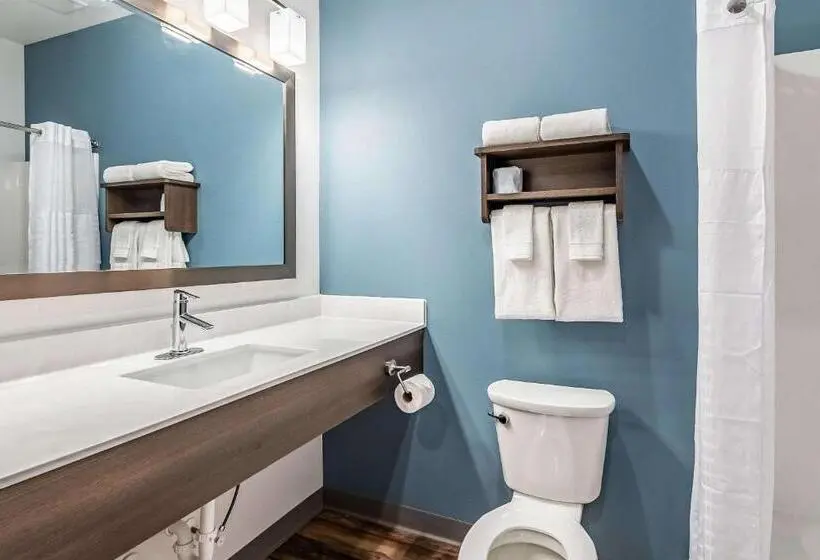 キングサイドベッドのスタンダードワンルーム, Woodspring Suites Indianapolis Zionsville