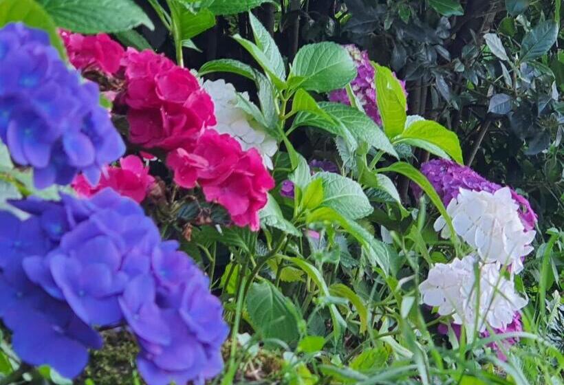 חדר משפחתי נוף לגינה, Le Clos Réaud