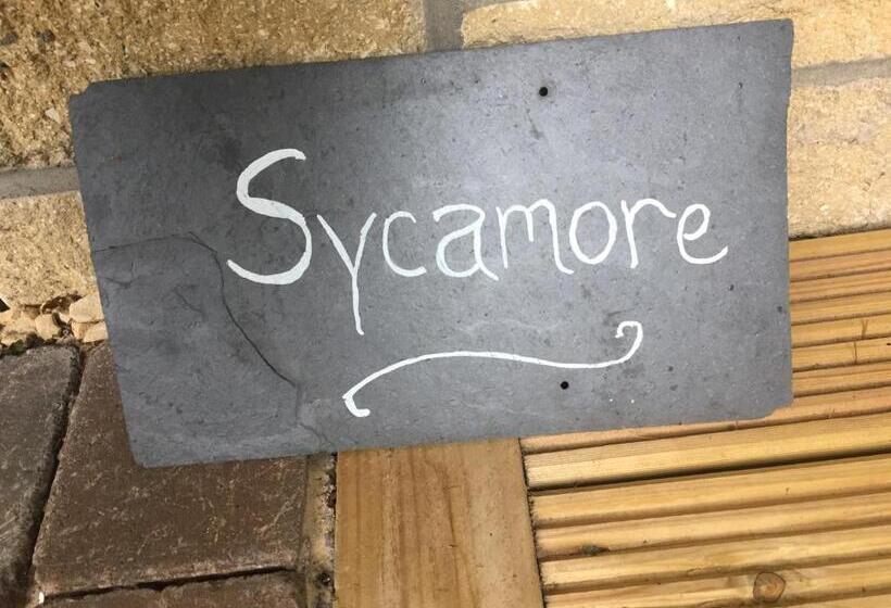 デラックスルーム, Rosemount Boutique B&b