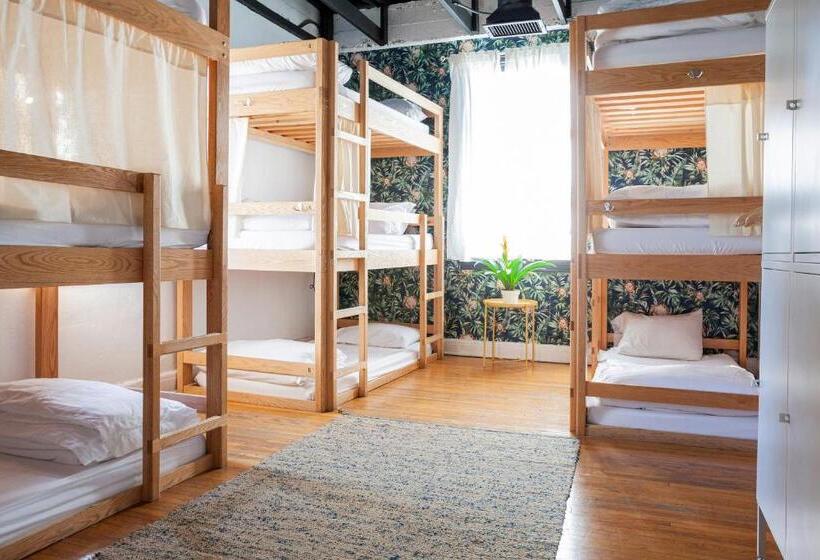 سرير فى غرفة مشتركه, The Steady