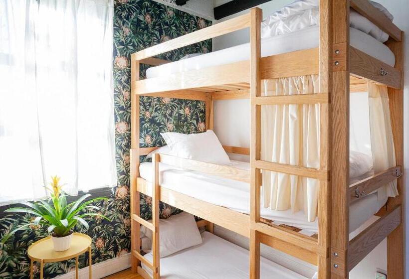 سرير فى غرفة مشتركه, The Steady