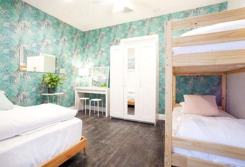 غرفة إقتصادية ثلاثية, The Steady