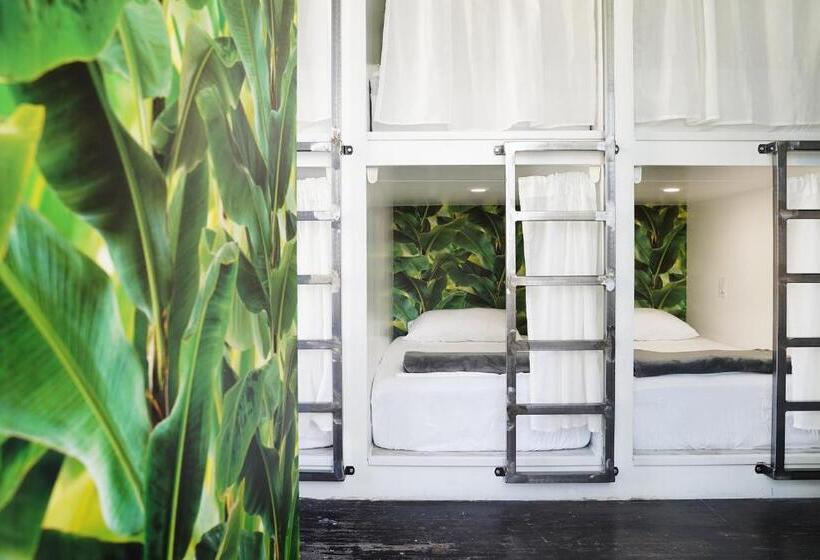 سرير فى غرفة مشتركه, The Steady