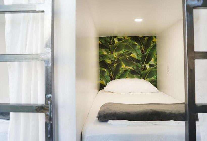 سرير فى غرفة مشتركه, The Steady