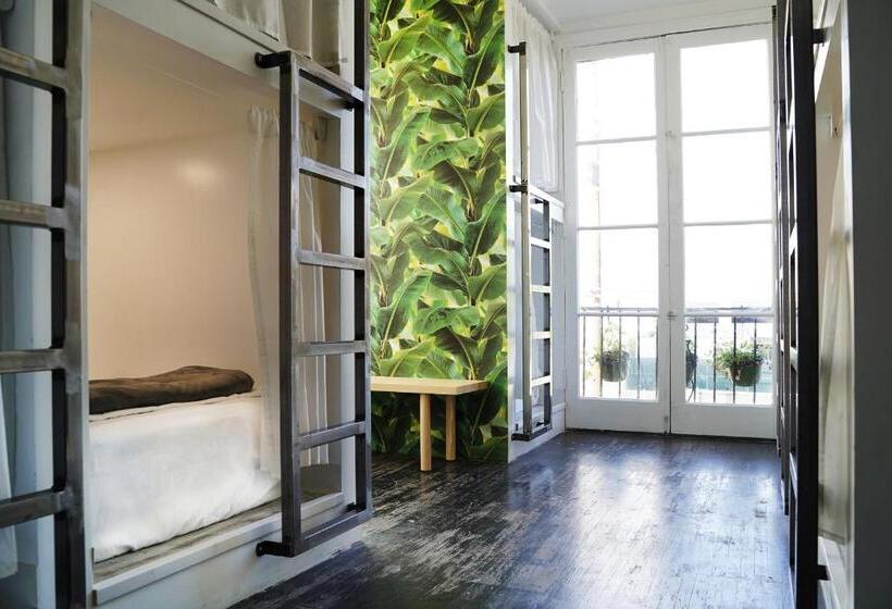 سرير فى غرفة مشتركه, The Steady