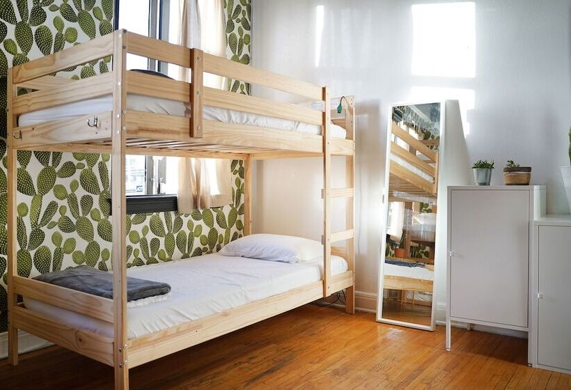 سرير فى غرفة مشتركه, The Steady