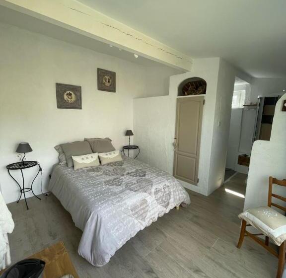 Standardrum, La Colombe