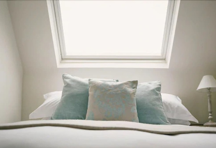 חדר סטנדרט, Cat And Custard Pot Inn