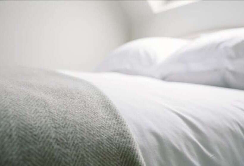 חדר סטנדרט, Cat And Custard Pot Inn