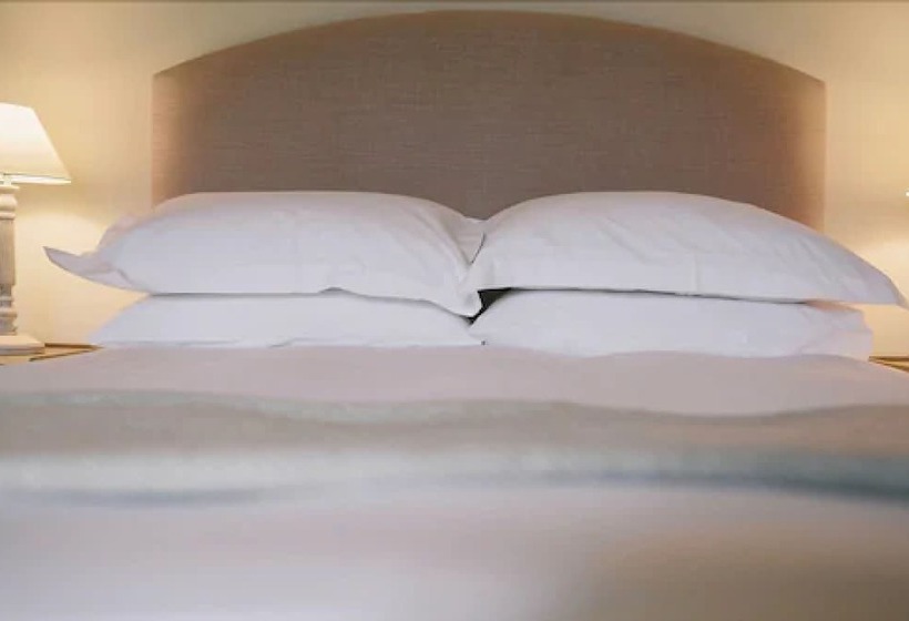 חדר סטנדרט, Cat And Custard Pot Inn