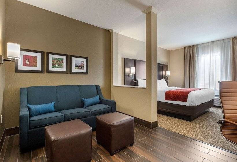 套房, Comfort Inn & Suites Cedar Rapids Cid Eastern Iowa Airport