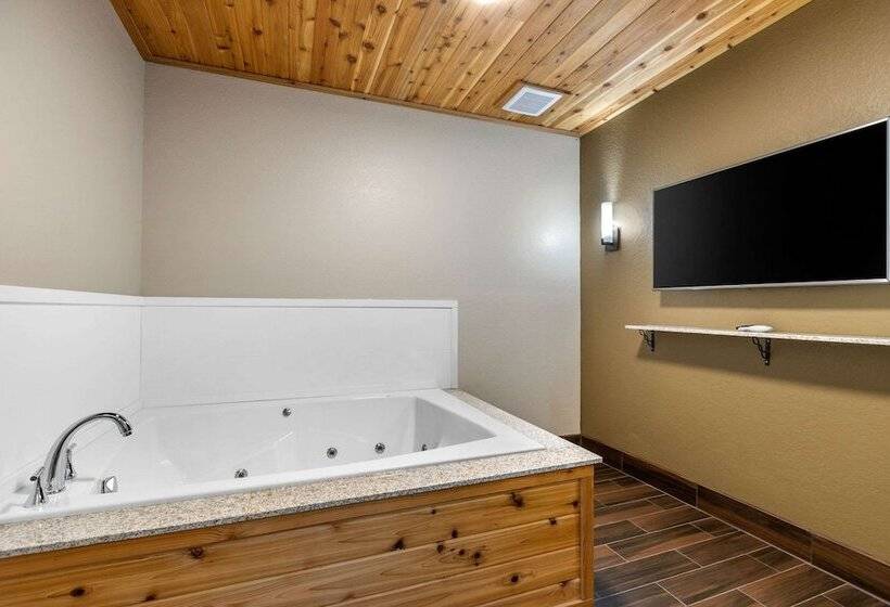 Люкс, Comfort Inn & Suites Cedar Rapids Cid Eastern Iowa Airport