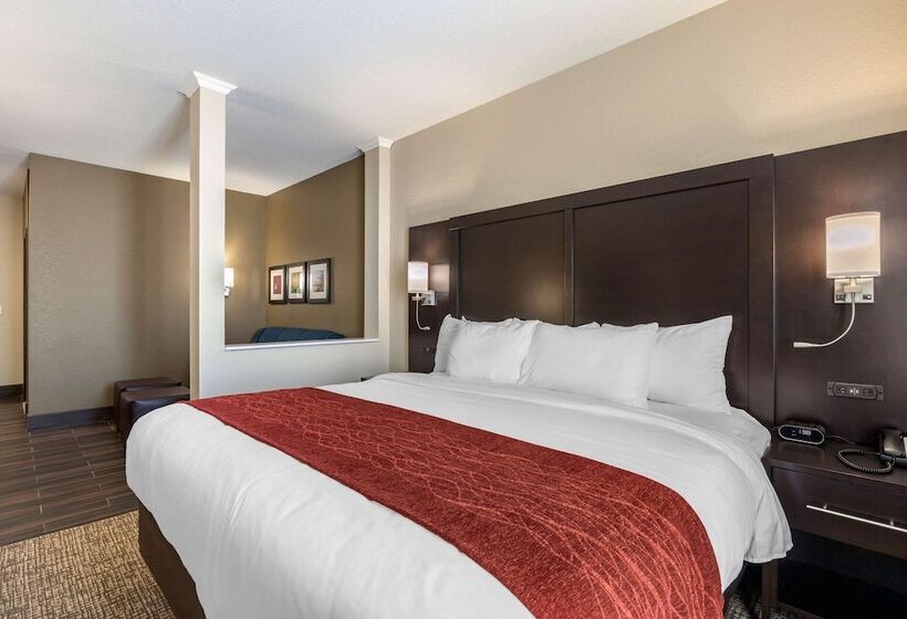 适合残疾人士使用的套间, Comfort Inn & Suites Cedar Rapids Cid Eastern Iowa Airport