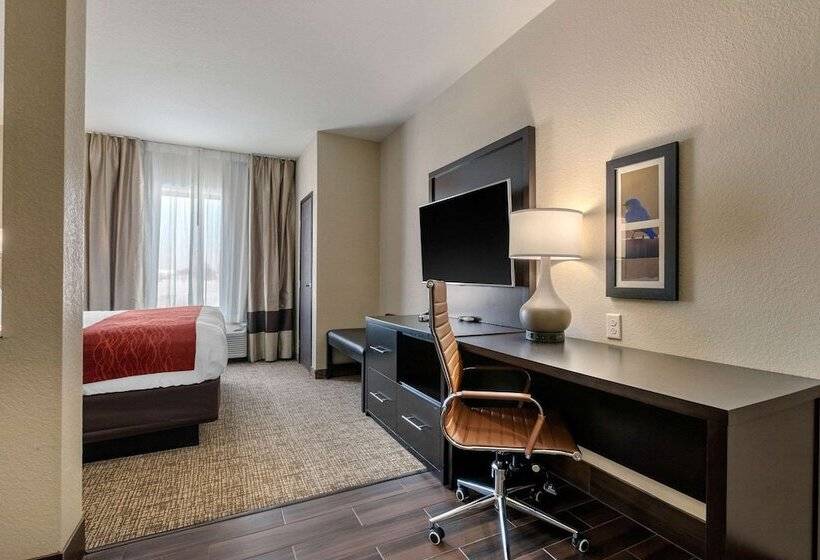 Люкс Адаптированный для Инвалидов, Comfort Inn & Suites Cedar Rapids Cid Eastern Iowa Airport
